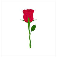 rose flower vector. illustration for web and mobile design.
