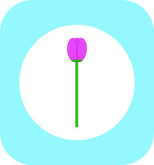 tulip flower vector. illustration for web and mobile design.