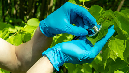 a man in nature with a stethoscope listens to trees