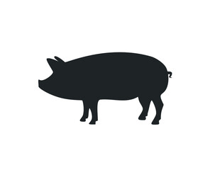 Pig icon. Pork icon. Pig vector illustration