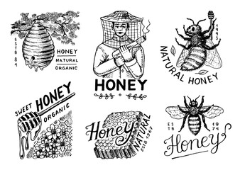 Honey and bees set. Beekeeper man and Honeycombs and hive and apiary. Vintage logo for typography, shop or signboards. Badge for t-shirts. Hand Drawn engrave sketch. Vector illustration.
