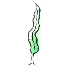 夏のイラスト：海藻