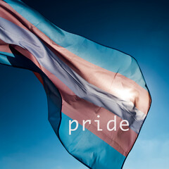 transgender pride flag and word pride