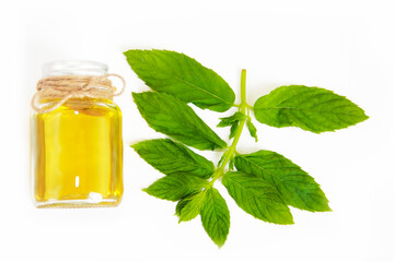 mint oil in a decorative bottle and green mint leaves