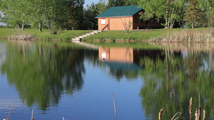 Fototapeta na wymiar reflection in the pond 