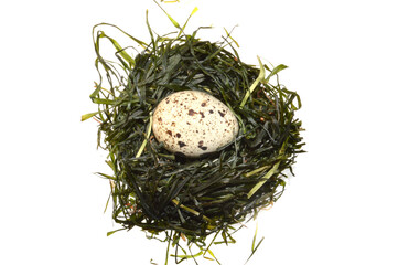 Obraz premium quail eggs isolated on white background