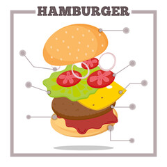 Hamburger Ingredients Infographic for poster, menu, web, banner. Classic American Cheeseburger with Lettuce Tomato Onion Cheese and Meat. Vector isolated on white background