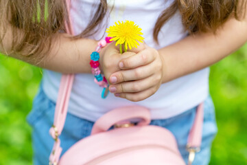 Little girl holding yellow dandelion flower in green garden or park.