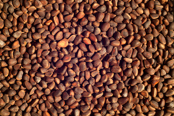 Pine nuts close-up with blur effect.