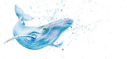 watercolor realistic image of a blue whale on a background of blue water splashes © Olga