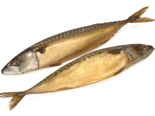 Cold smoked mackerel fish isolated on a white background