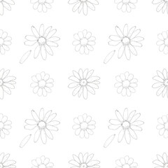 Chamomile floral seamless pattern hand drawn in pen ink. Herbal summer background. Day of family, love and faithful.