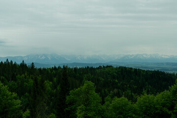 Beautiful mountain view ( Poland, fresh, fog). Beautiful view of the Polish mountains and forest. 