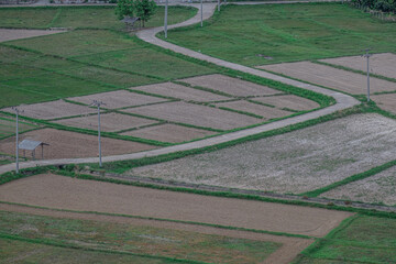 Naklejka premium Rice fields in the mountains around the period before the rainy season in northern Thailand.