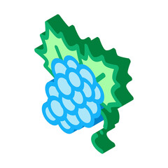 bunch of grapes icon vector. isometric bunch of grapes sign. color isolated symbol illustration