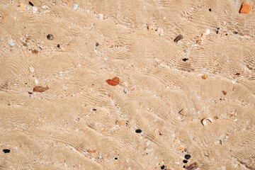 Copy space of sand beach texture abstract background.