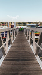 Obraz premium A bridge in the mangrove park.