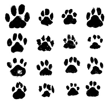 Ink Dog's Paw illustration, Cat s Paw Vector, gouache, drawing, print