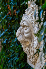 moulded statue of lions head in profile