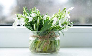 beautiful bouquet of snowdrops in a glass vase near the window on the windowsill. free space, background. The concept of spring greetings