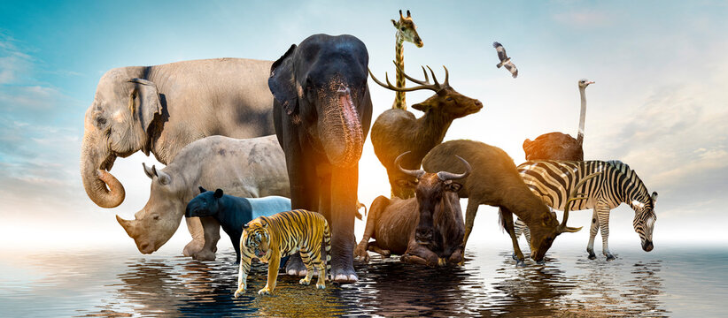 Wildlife Conservation Day Wild animals to the home. Or wildlife protection © Surasak