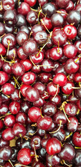 Cherries on display at market.