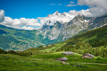 Swiss Alps landscape with meadow, snowy mountains and green nature. Taken near village in...