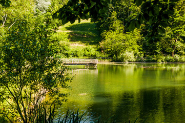 Arlesheim, Ermitage, Dorf, Weiher, Seerose, See, Holzsteg, Wasserpflanzen, Wald, Baselland,...