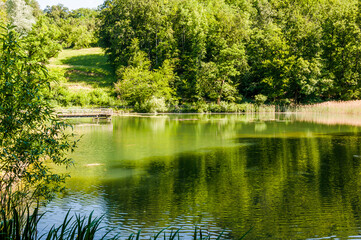 Arlesheim, Ermitage, Weiher, Seerose, See, Holzsteg,  Schilf, Wasserpflanzen, Karpfen, Baselland, Waldweg, Wald, Wanderweg, Spazierweg, Ausflugsort, Kraftort, Sommer, Schweiz