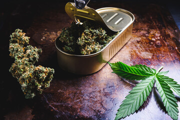 An open tin can in which the buds of medical cannabis. Nearby is a marijuana bud and hemp leaf. Old rusty metal surface. rustic.