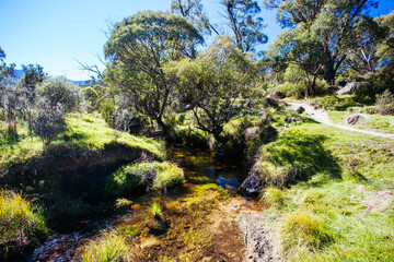 Lake Crackenback Walking and Biking Trails