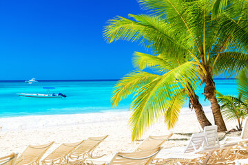 Palm trees with lounge chairs on the caribbean tropical beach. Saona Island, Dominican Republic. Vacation travel background