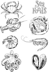 Graphic drawing of various sea food including shrimp, crab and octopus 