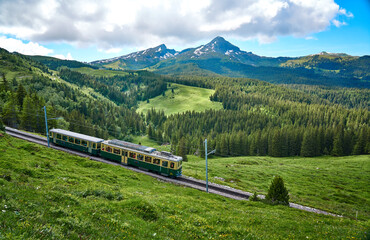 Fototapeta na wymiar Landscape of Swiss Alps with green nature, meadow and Grindelwald - Kleine Scheidegg train, Bernese Alps, Switzerland.