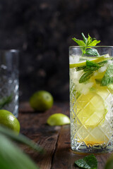 Homemade refreshing mojito cocktail in a tall glass