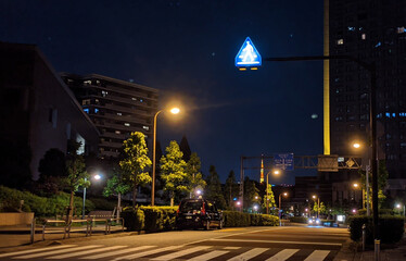 夜の横断歩道

