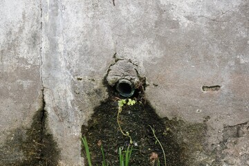 The dirt from the house drains creates a place to collect germs. - obrazy, fototapety, plakaty