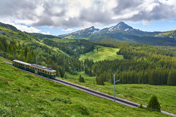 Obraz na płótnie Canvas Landscape of Swiss Alps with green nature, meadow and Grindelwald - Kleine Scheidegg train, Bernese Alps, Switzerland.