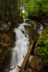 Vogelsang Gorge in Upper Austria on a cloudy day in summer