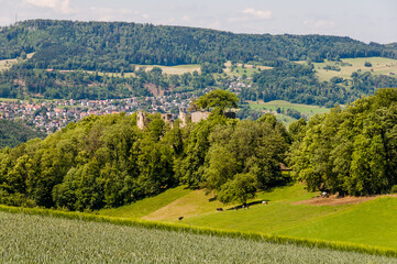 Dornach, Arlesheim Landwirtschaft, Burgruine Dorneck, Ruine, Birstal, Wanderweg, Errmitage, Wald,...