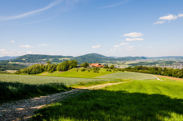 Obraz premium Dornach, Arlesheim Landwirtschaft, Burgruine Dorneck, Ruine, Birstal, Wanderweg, Errmitage, Wald, Aussichtspunkt, Baselland, Sommer, Schweiz