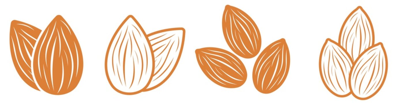 Almond icon set. Nut vector illustration isolated  on white background. 