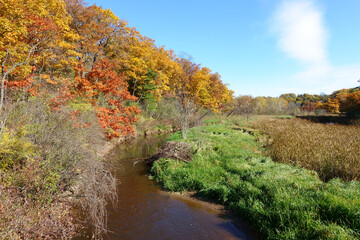 Autumn colours flank Grindstone Creek in Burlington, Ontario's Hendrie Valley.