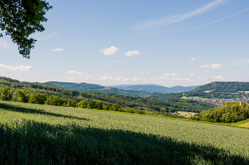 Fototapeta premium Dornach, Arlesheim Landwirtschaft, Burgruine Dorneck, Ruine, Pfeffingen, Birstal, Wanderweg, Wald, Aussichtspunkt, Baselland, Sommer, Schweiz