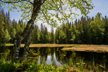 Triungsvann nature reserve