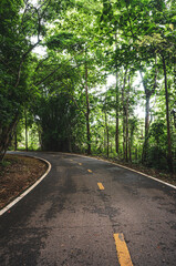 Fototapeta premium Cement road after rain in green rural areas