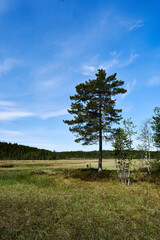 Triungsvann nature reserve