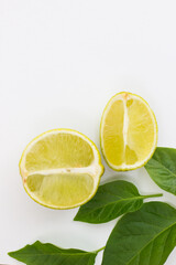lime on a white background green leaves top view