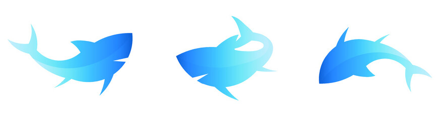 blue shark