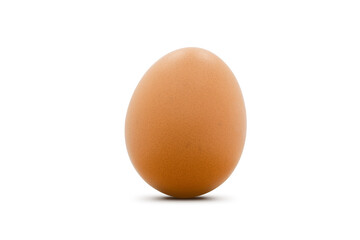 chicken egg isolated on white background.
